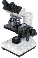 Microscope