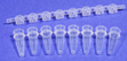 8-Strip Dome-shaped caps PCR Tubes