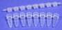 8-Strip Dome-shaped caps PCR Tubes